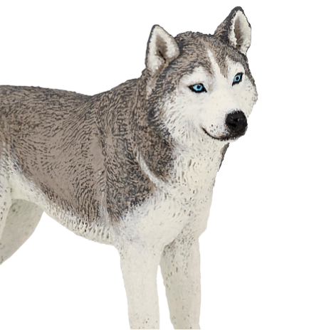 Figurines chiens et chats