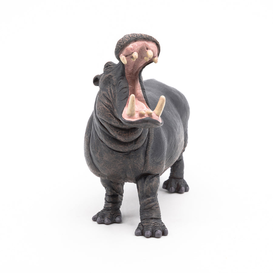 Figurine Hippopotame Papo en PVC, thème savane, Collection Animaux sauvages, jouet éducatif idéal pour enfants et collectionneurs