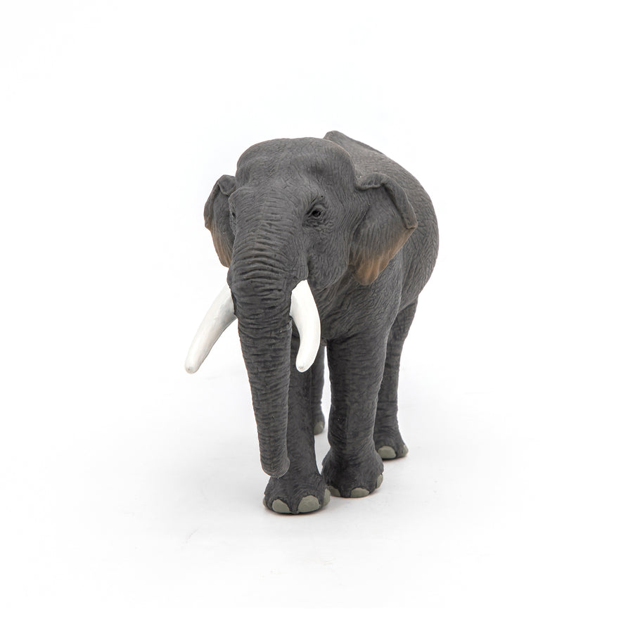 Figurine Éléphant d'Asie Papo en PVC, thème savane, Collection Animaux sauvages, jouet éducatif idéal pour enfants et collectionneurs