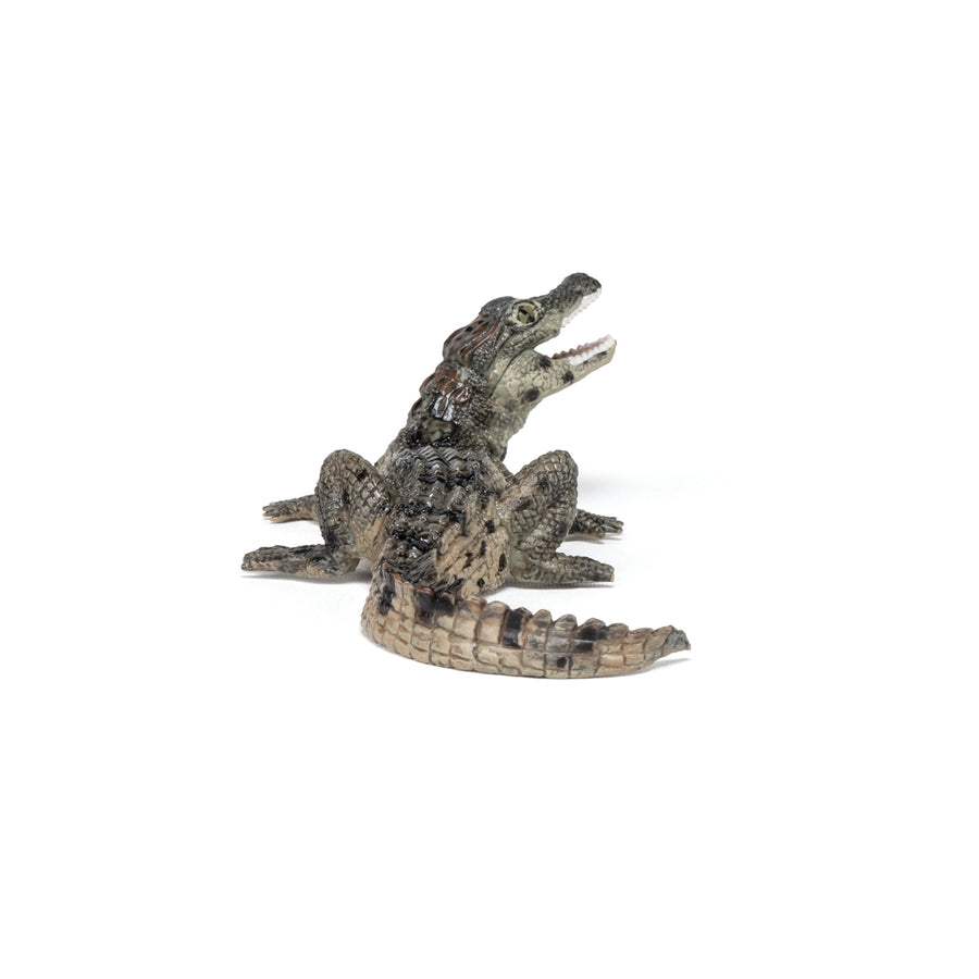 Figurine Bébé crocodile Papo en PVC, Collection Animaux sauvages, jouet éducatif idéal pour enfants et collectionneurs
