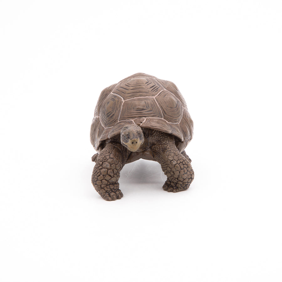 Figurine Tortue des Galápagos Papo en PVC, thème reptiles, Collection Animaux sauvages, jouet éducatif idéal pour enfants et collectionneurs