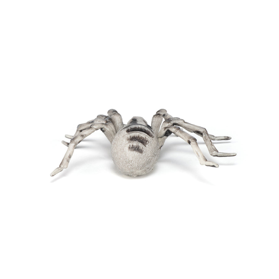 Tarentule Papo en PVC, Collection Animaux sauvages, jouet éducatif idéal pour enfants et collectionneurs