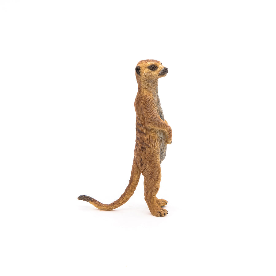 Figurine Suricate debout Papo en PVC, thème savane, Collection Animaux sauvages, jouet éducatif idéal pour enfants et collectionneurs