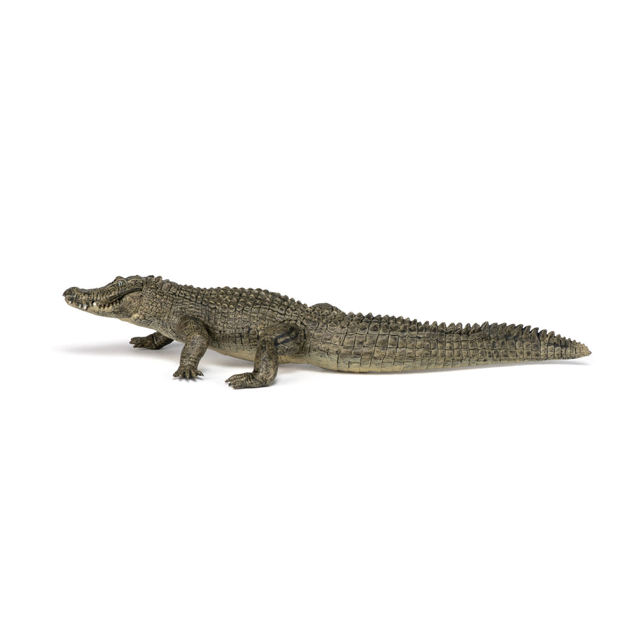 Figurine Alligator Papo en PVC, thème reptiles, Collection Animaux sauvages, jouet éducatif idéal pour enfants et collectionneurs