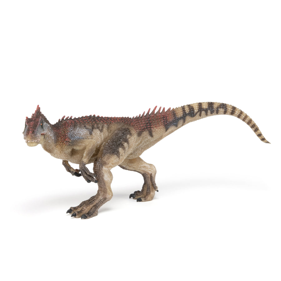 Allosaure Papo en PVC, Collection Dinosaures, jouet éducatif idéal pour enfants et collectionneurs