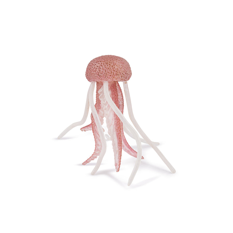 Méduse Papo en PVC, Collection animaux marins, jouet éducatif idéal pour enfants et collectionneurs